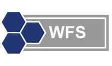 estandar OGC WFS