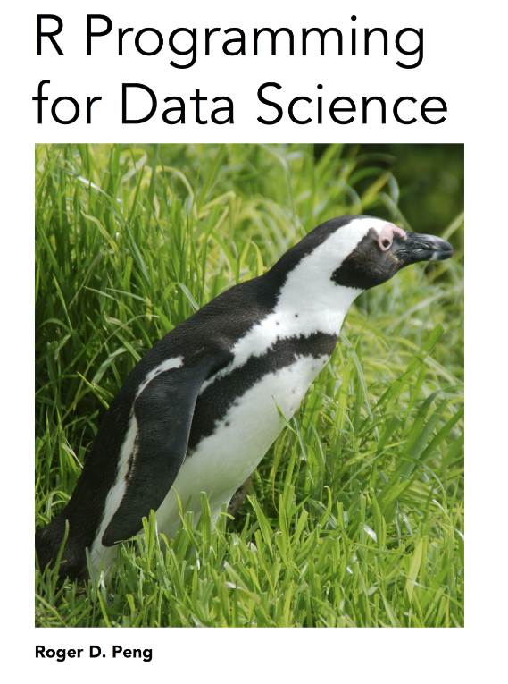 R programming Data Science download pdf